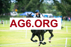 德甲第23轮拜仁vs法兰克福全场比赛录像回放2026年2月22日